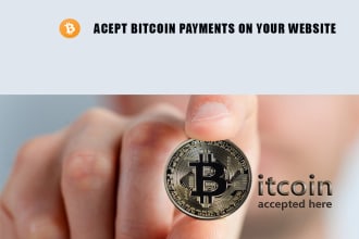 add bitcoin payment api on your website