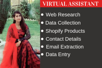 be your virtual assistant for data entry and web research