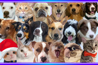 create a stunning vector pet illustration from your photo