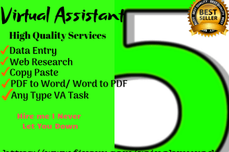 do data entry,web research,copy typing,excel and VA work