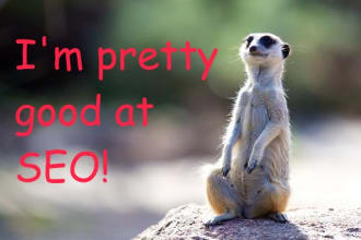 chat with you for 2 days and answer SEO and digital marketing questions