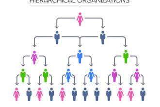 prepare organizational hierarchy chart