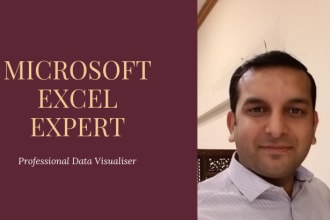 do anything related to microsoft excel and data mapping