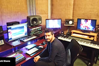 mix master your audio, and song to industry standard quality