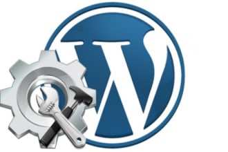 fix wordpress errors, issues and bugs