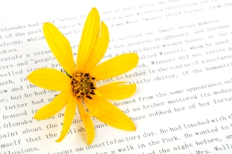 format your novel for ebook and paperback use