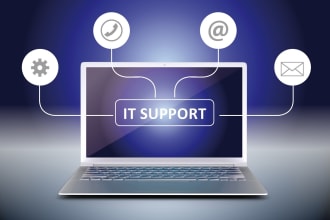 provide efficient remote IT diagnostics and support for any problem on windows