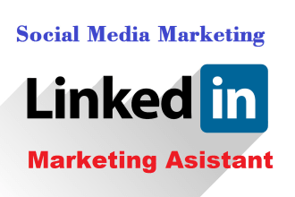 be your linkedin marketing consultant and manager