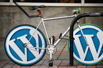 modify and customize your wordpress site