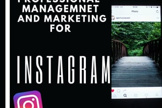 be your instagram manager for 30 days