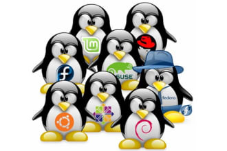 provide support on linux unix windows mac os x setup configure fix issue and bug