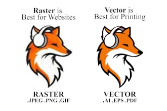 do vector tracing image for you