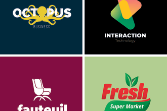 do professional logo design and illustration