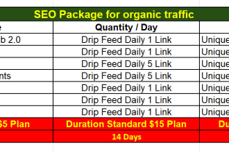 do monthly SEO package for organic traffic