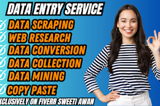 be your virtual assistant for data entry, data mining, copy paste, web research