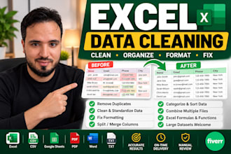 do excel data cleaning, formatting, and data cleanup