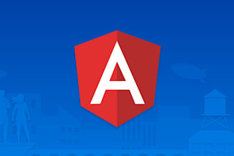 create a professional angular website and web application