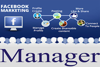 be your facebook marketing manager and content creator