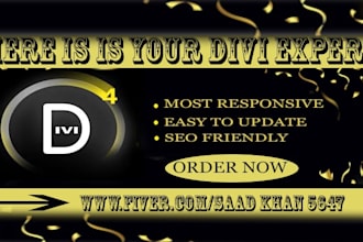 be your divi expert for wordpress website using divi theme