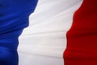 send 1000 French and targeted website traffic