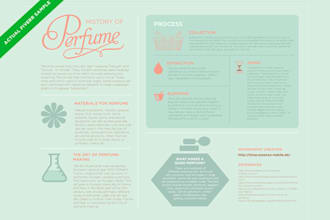 design a pretty infographic