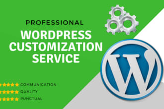 do quick wordpress website customization and modification
