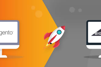 import products, orders and customers in ecommerce stores