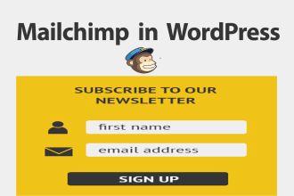 add mailchim optin form in 24 hr on wordpress
