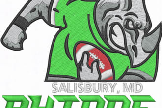 do  embroidery digitizing in dst, pes,emb,pxf,ngs etc
