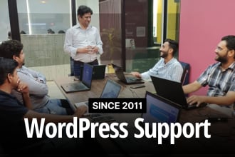 be your wordpress support agent