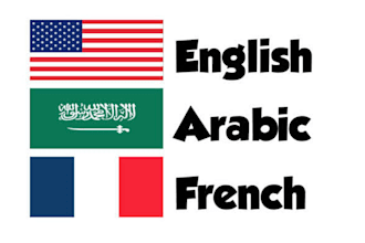 translate your application or website in english, french and arabic