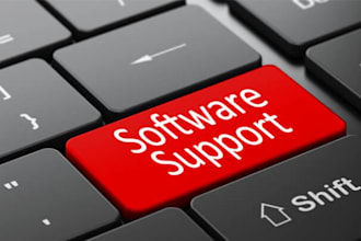 perform software and databases support