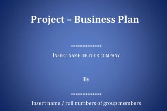 draft business plans and business projects