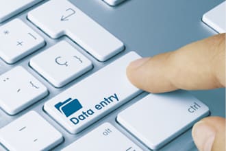 do internet researching and data entry