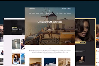 build professional wordpress website, business site, blog site