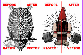 convert your logo, picture or anything to vector file