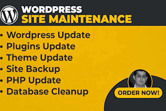 do wordpress site maintenance
