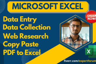 do data entry, data collection, pdf to excel, copy paste, web research