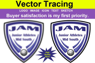 do convert raster image to vector 24 hours service