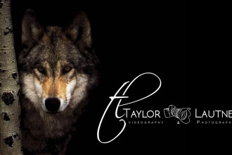 design photography logo or watermark in 12 hours