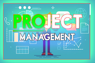 do project management tasks