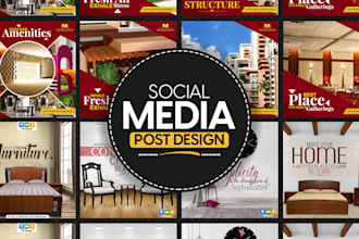 design social media posts or stories for facebook, instagram