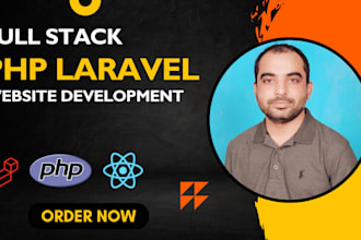 develop web app using laravel with API intergration