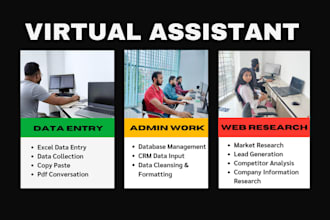 be your virtual assistant for data entry, excel data entry, web research work