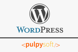 wordpress bug fixing, theme installtion, issues, customization