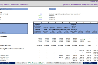 do business valuation and financial analysis