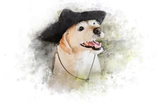 draw realistic portrait cat , dog , animal or any pets in watercolor