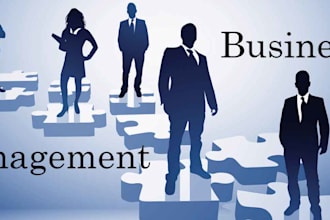 write orders on finance, business management and plans