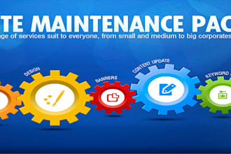 do ecommerce website maintenance and update