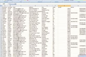 provide verified bulk email lists upto 3m for business